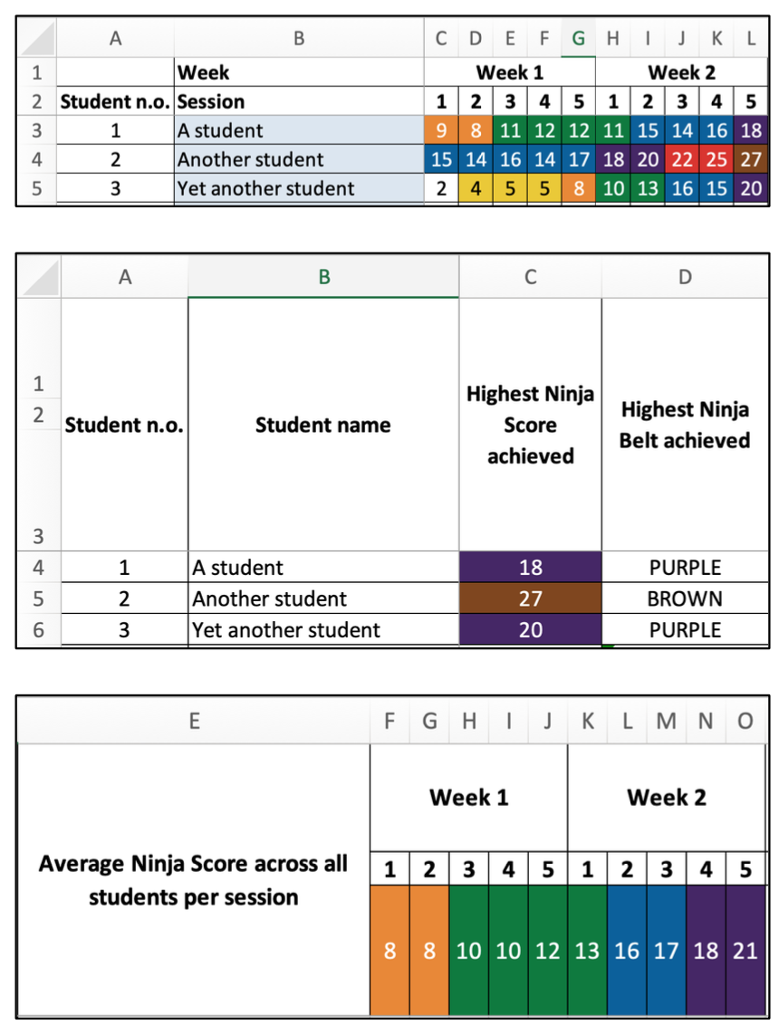 Ninja Score Record Spreadsheet – Numeracy Ninjas